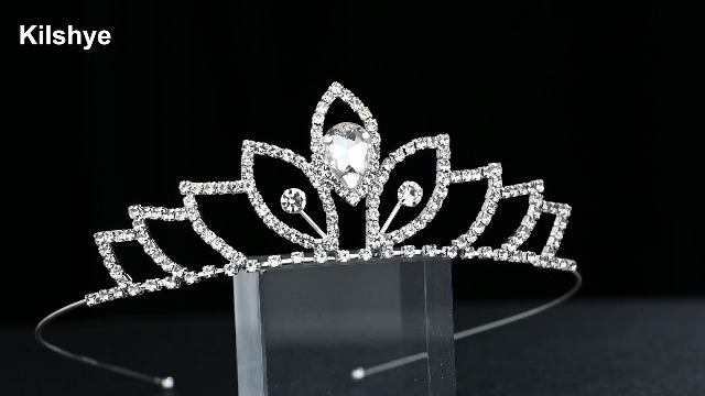 ビカクシダ P.Princess's Crown Amazon.com: BIBUTY Princess Crown Tiara & Wand Dress-Up